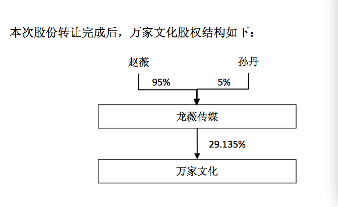 龙薇传媒主营业务是文化艺术、影视策划及广告设计等方面，与上市公司万家文化的主营业务类似。因成立时间较短，龙薇传媒尚未开展实际经营活动，暂无相关的财务信息。